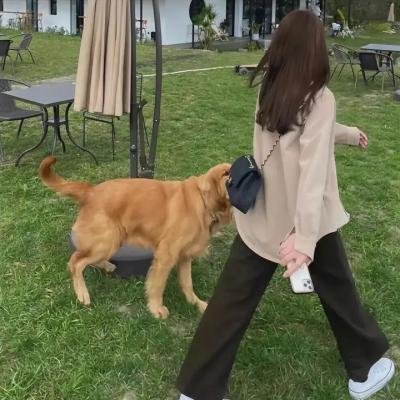 女神的命运